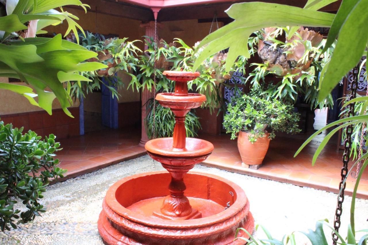 Ecohotel La Masia Llanogrande  외부 사진