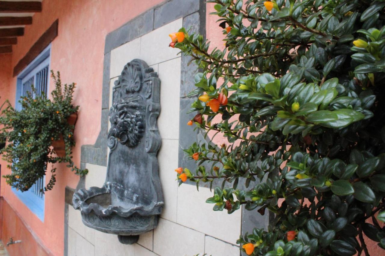 Ecohotel La Masia Llanogrande  외부 사진